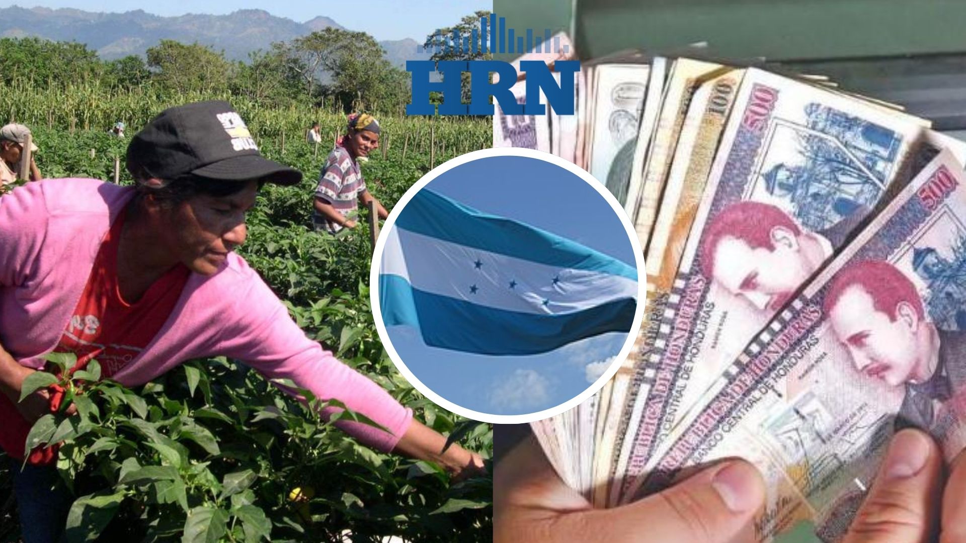 Editorial HRN: Menos crédito productivo, baja inversión y mayor politización