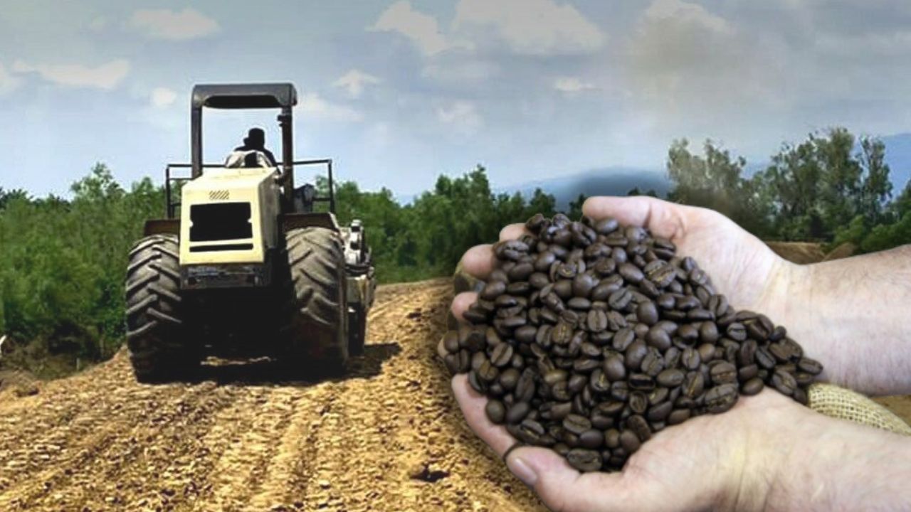 Imagen de Instan a declarar emergencia para reparar accesos a fincas de café