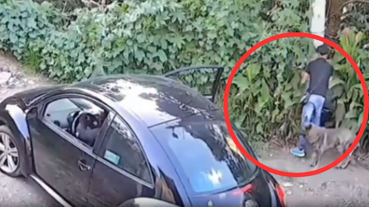 Familia abandona a perro amarrado a un poste; conmovedor video