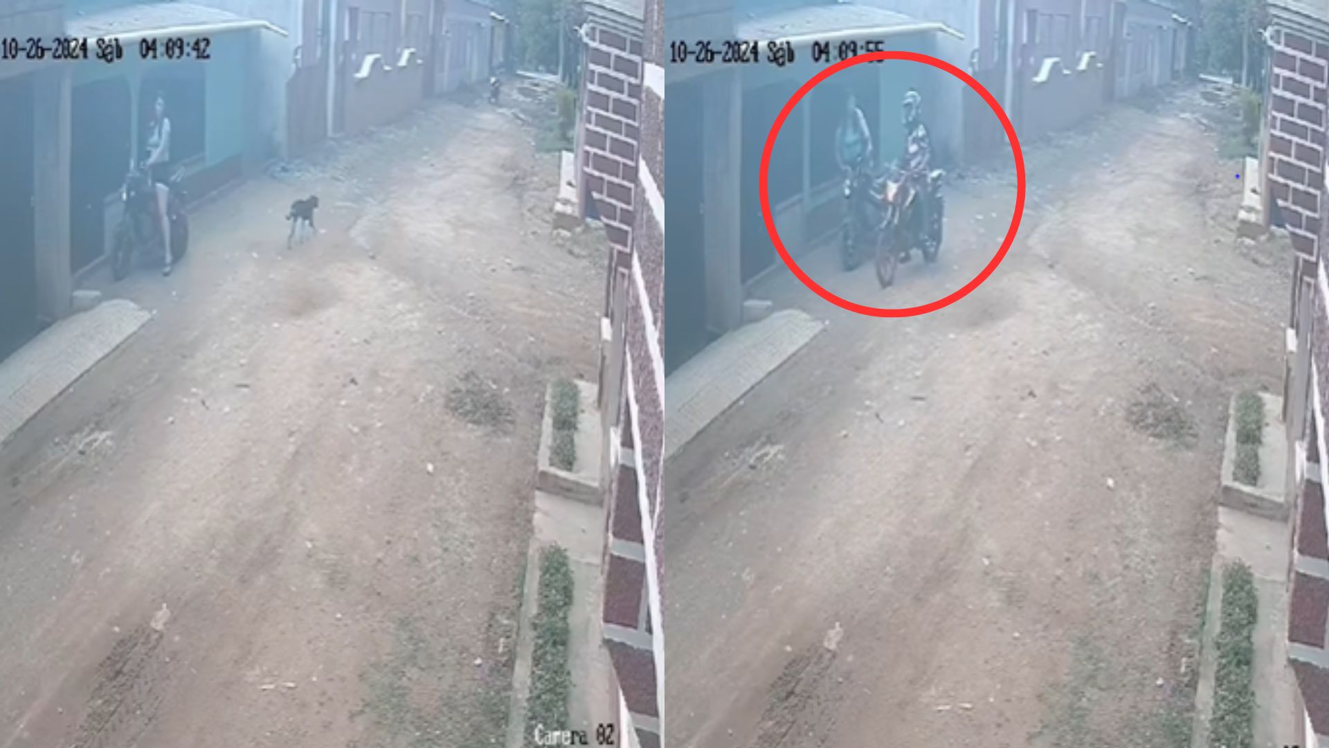 Cámara capta momento en que motociclista asalta a joven y le roba el celular en Comayagua