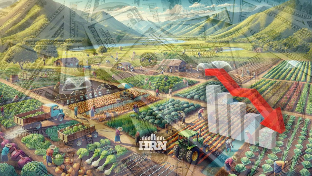 Lamentan que $ 5 millones al mes se pierden por importación de vegetales