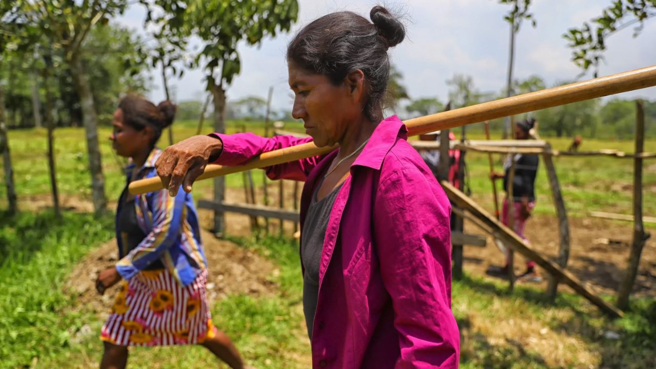 Naciones Unidas sitúa a la mujer rural en el centro de la lucha contra la sequía