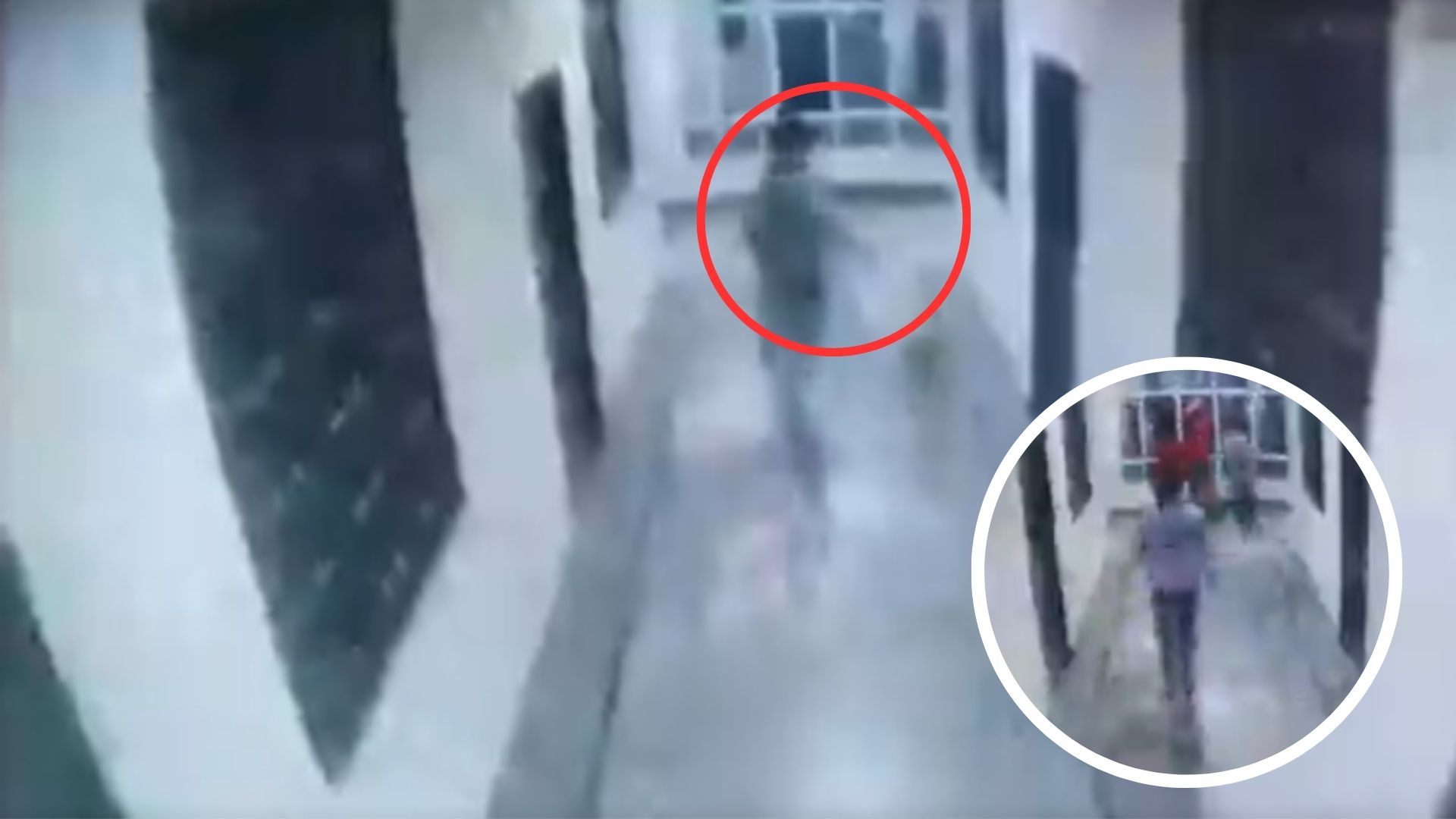 Joven muere al caer de un tercer piso mientras era perseguido por un perro: video