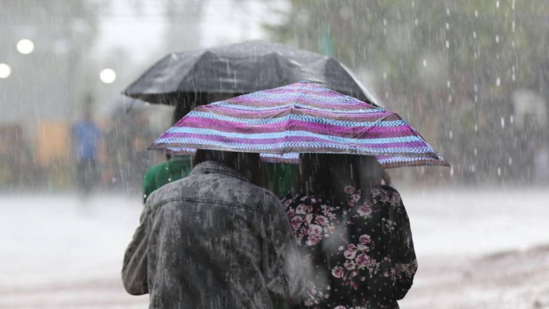Temperaturas frescas y lluvias, el pronóstico para este domingo en Honduras