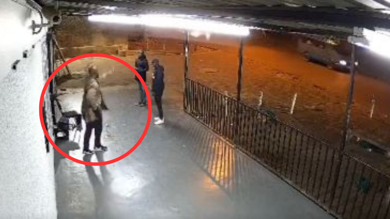 Matan a guardia de seguridad por aponerse al robo de su arma; video revela el trágico momento