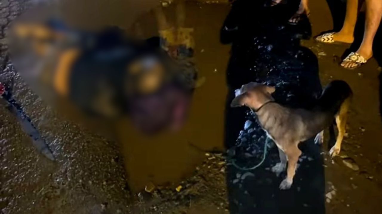 Perro permaneció junto al cuerpo de hombre que murió tras ser atropellado en Tocoa
