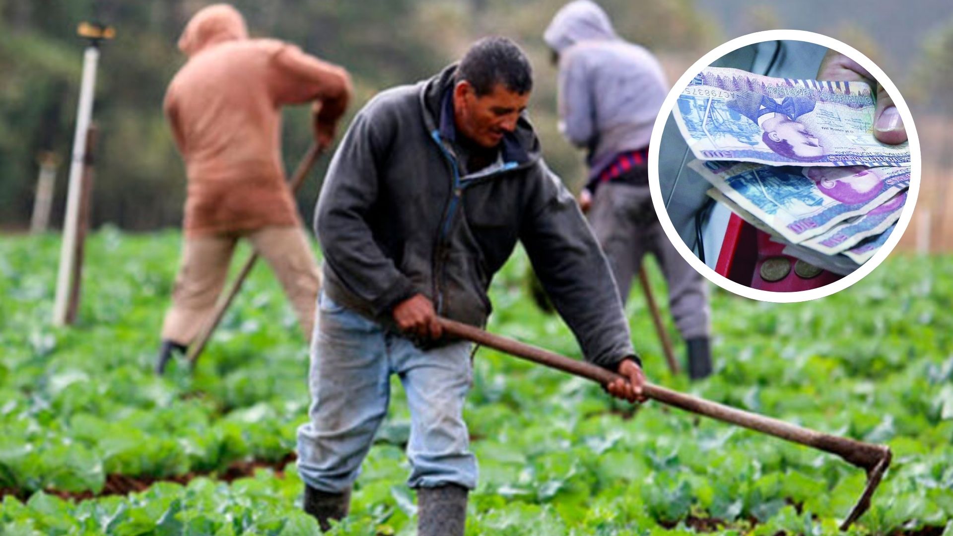 Alertan sobre el impacto de políticas monetarias en el sector agrícola