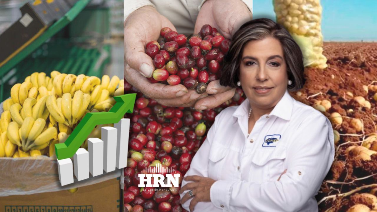 Debe fortalecerse la productividad de Honduras, enfatiza Anabel Gallardo