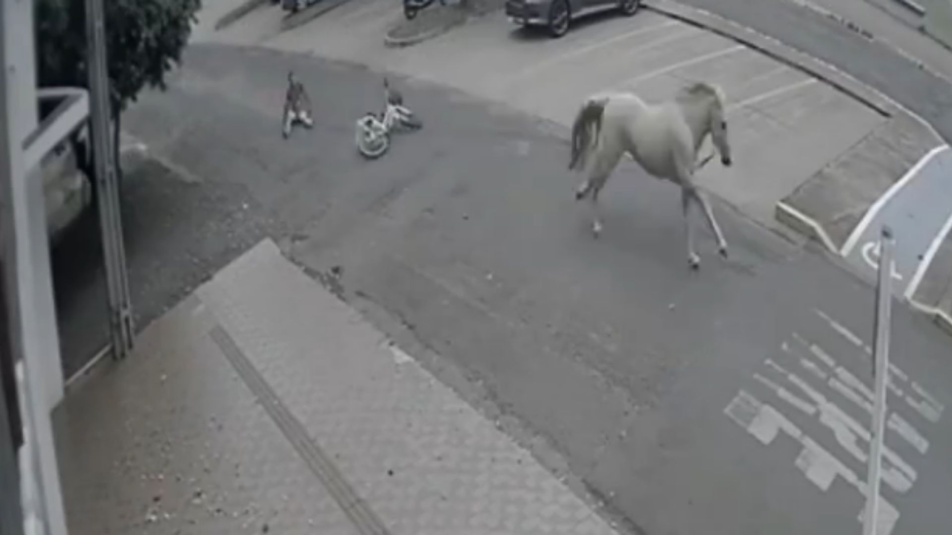 Castigan a ladrón de motos atándolo a un caballo y este lo arrastra por la calle: video