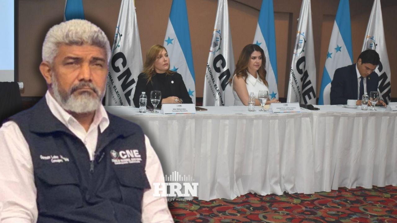 'Inquieta' que solo tres empresas ofertaron para TREP: exconsejero de CNE