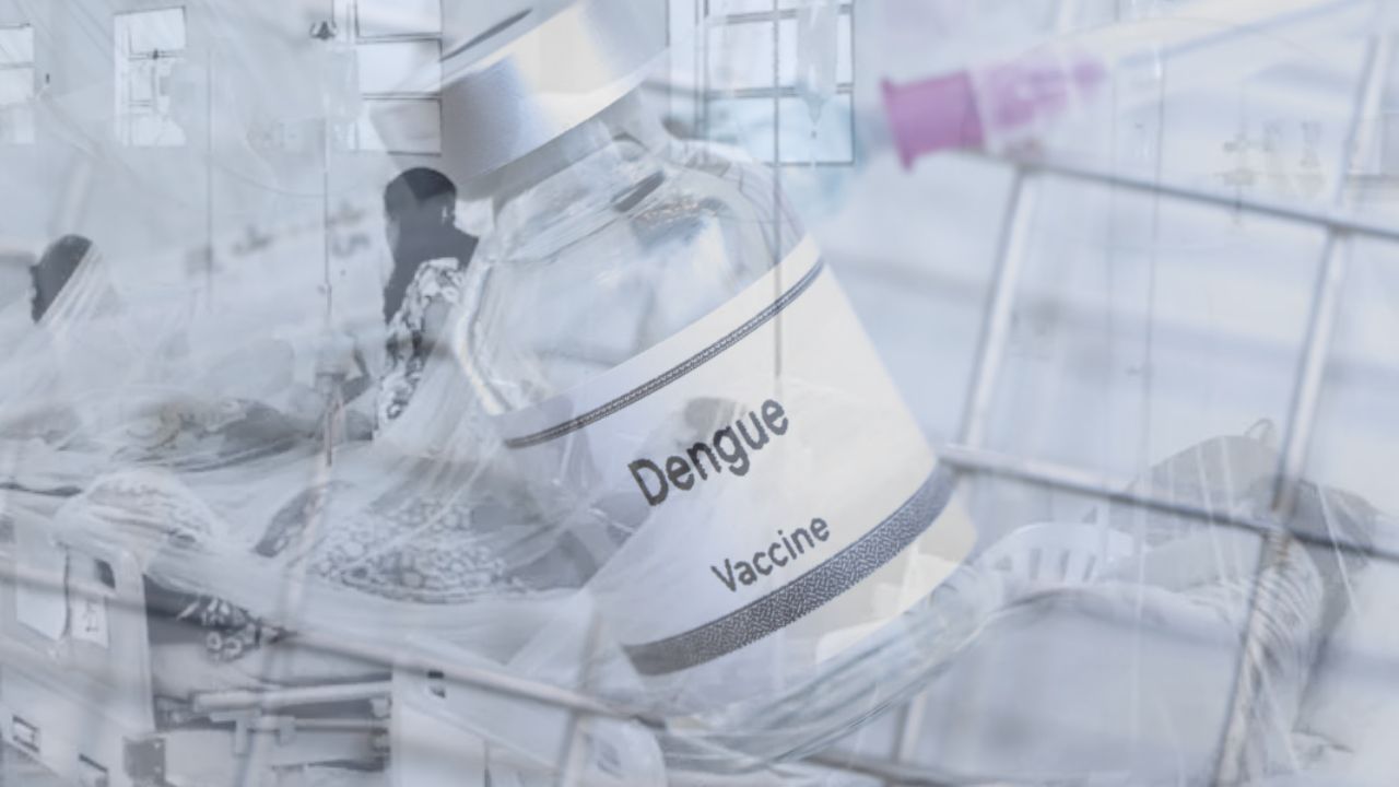 En los próximos días llegarían primeras dosis de vacuna contra el dengue