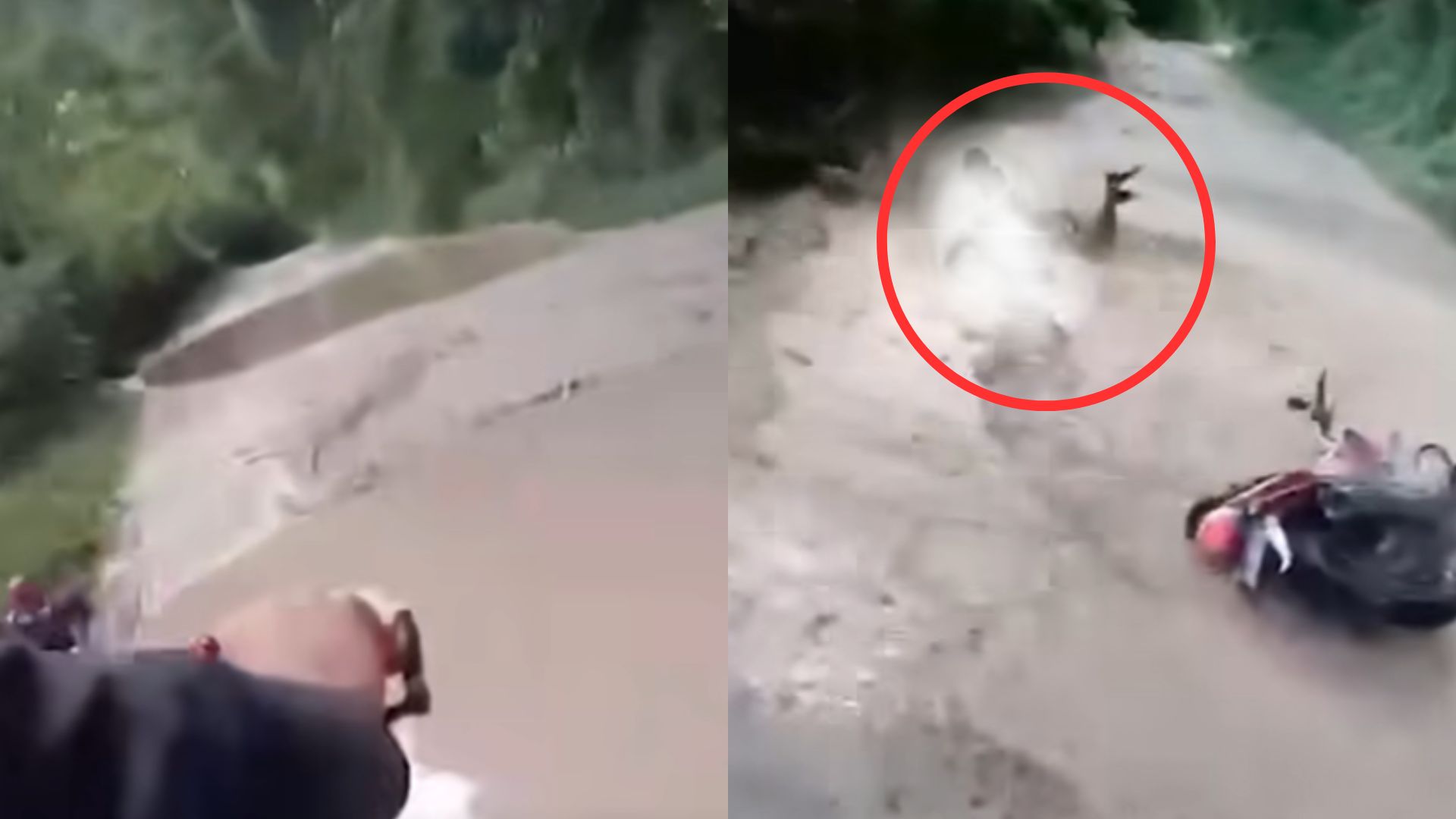 Video capta momento en que dos hombres se accidentan en moto en La Ceiba