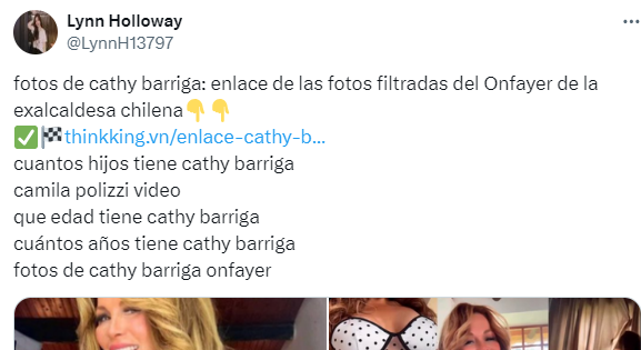Captura de pantalla en la que se lee una publicación en la que supuestamente están las fotos y videos de Cathy Barriga