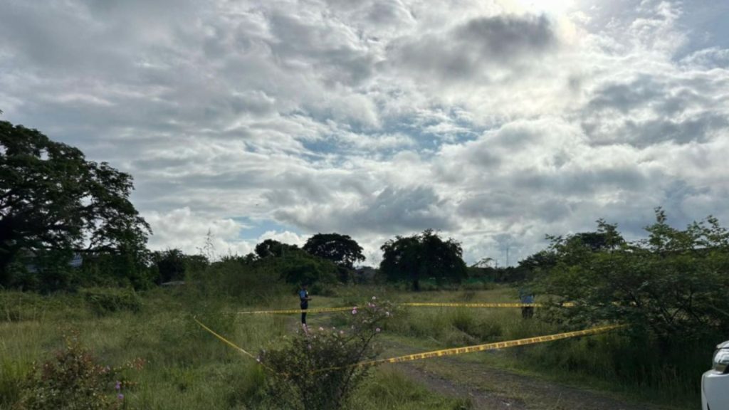 Imagen de cuerpo de nota