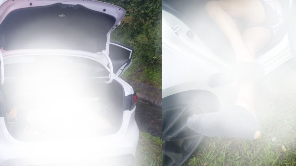 Imagen de cuerpo de nota