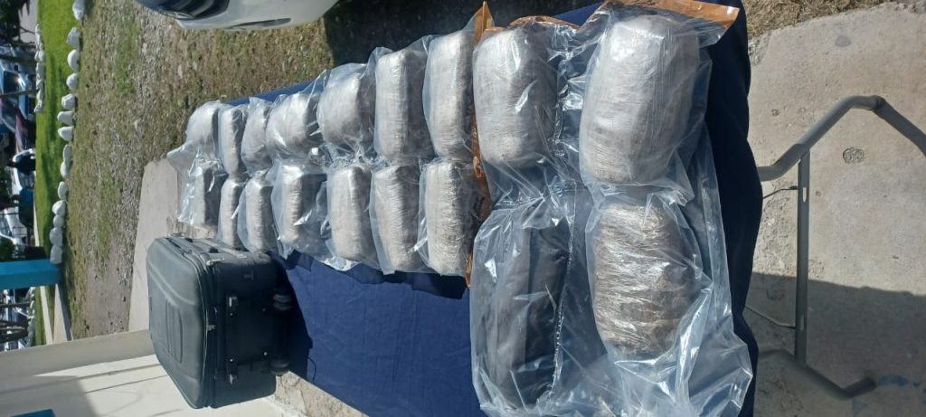 Imagen de cuerpo de nota