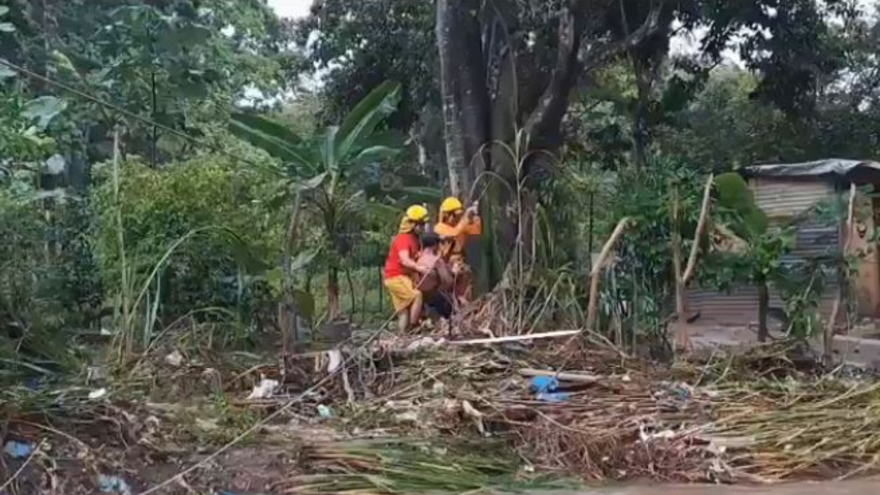 Así rescatan los bomberos a niños, mujeres embarazadas y mascotas en SPS