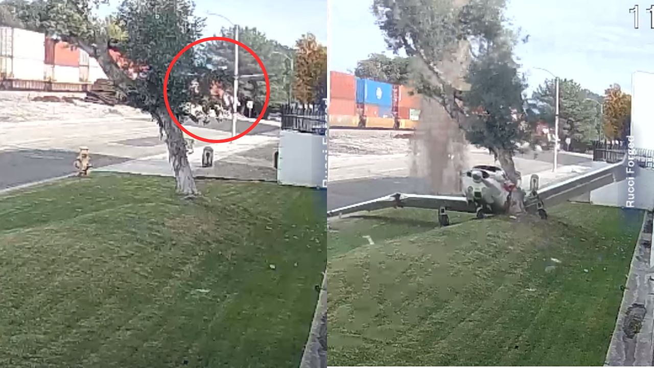Avioneta aterriza de emergencia y se estrella contra un árbol, ¿dónde ocurrió?