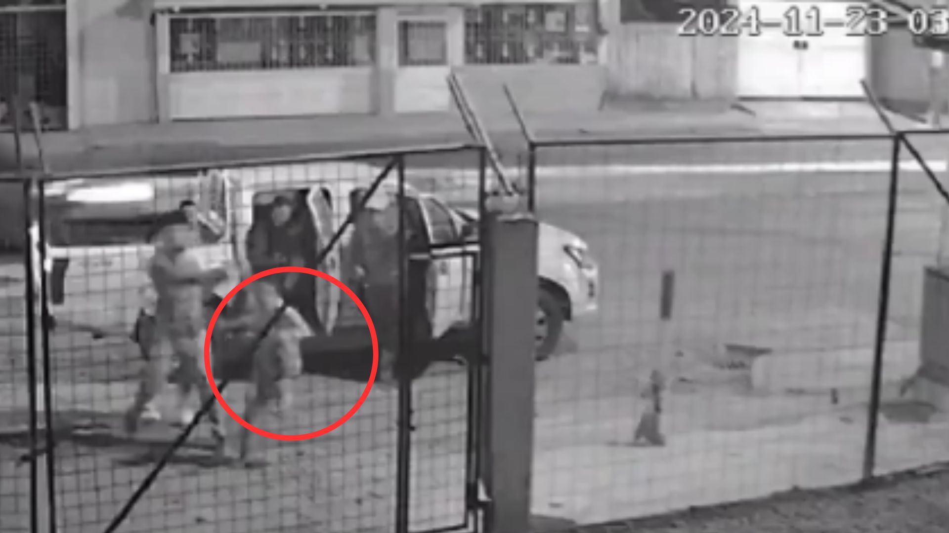 VIDEO: Sicarios bajan a hombre a la fuerza de un carro y lo matan