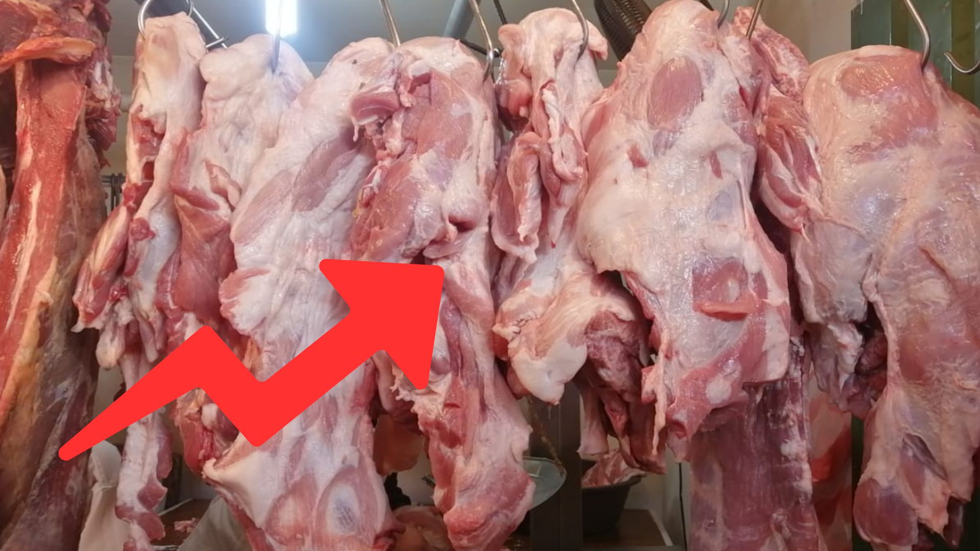 Carne de cerdo sufre nuevo aumento en mercados de Tegucigalpa