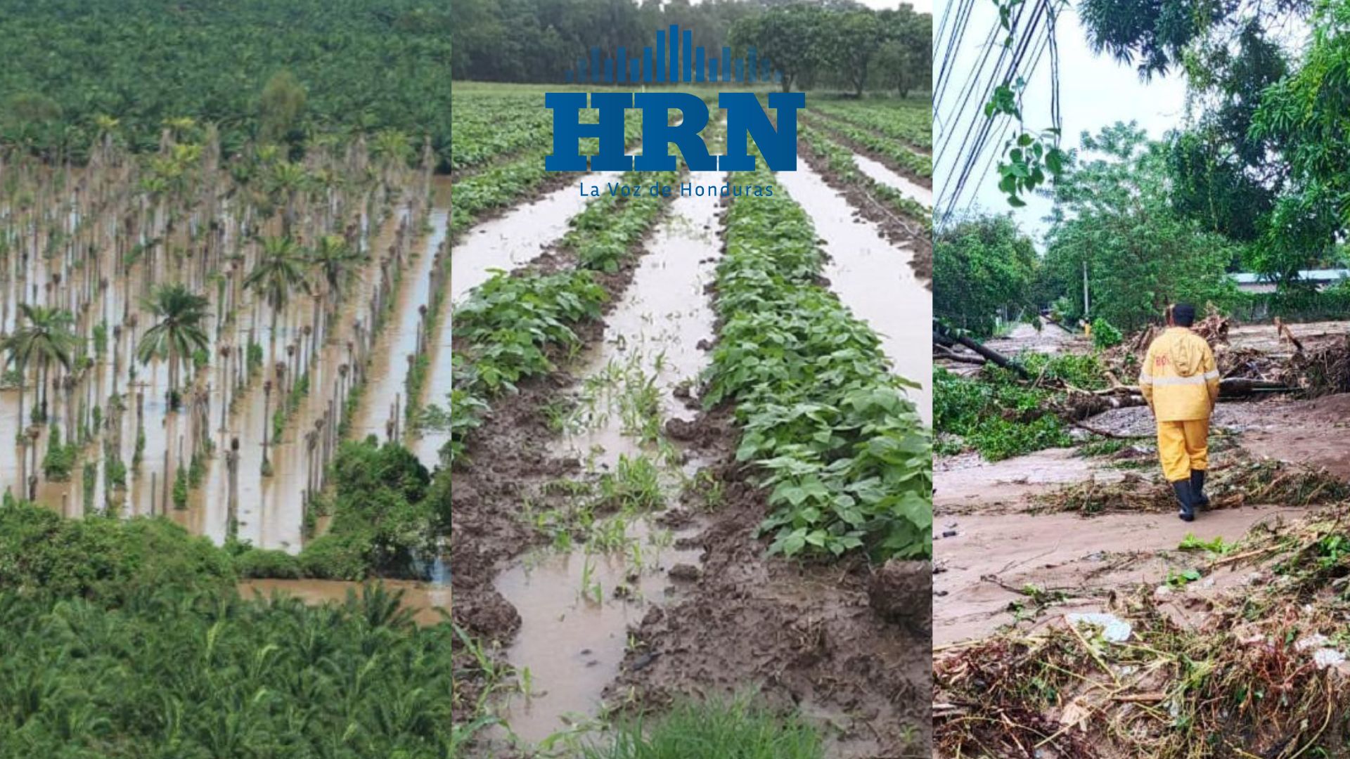 Editorial HRN: El aparato productivo y el paso devastador de fenómenos naturales