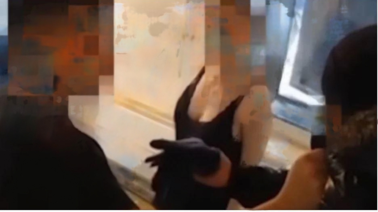 Hombre empuja a un niño contra la pared y lo patea tras pelea entre menores