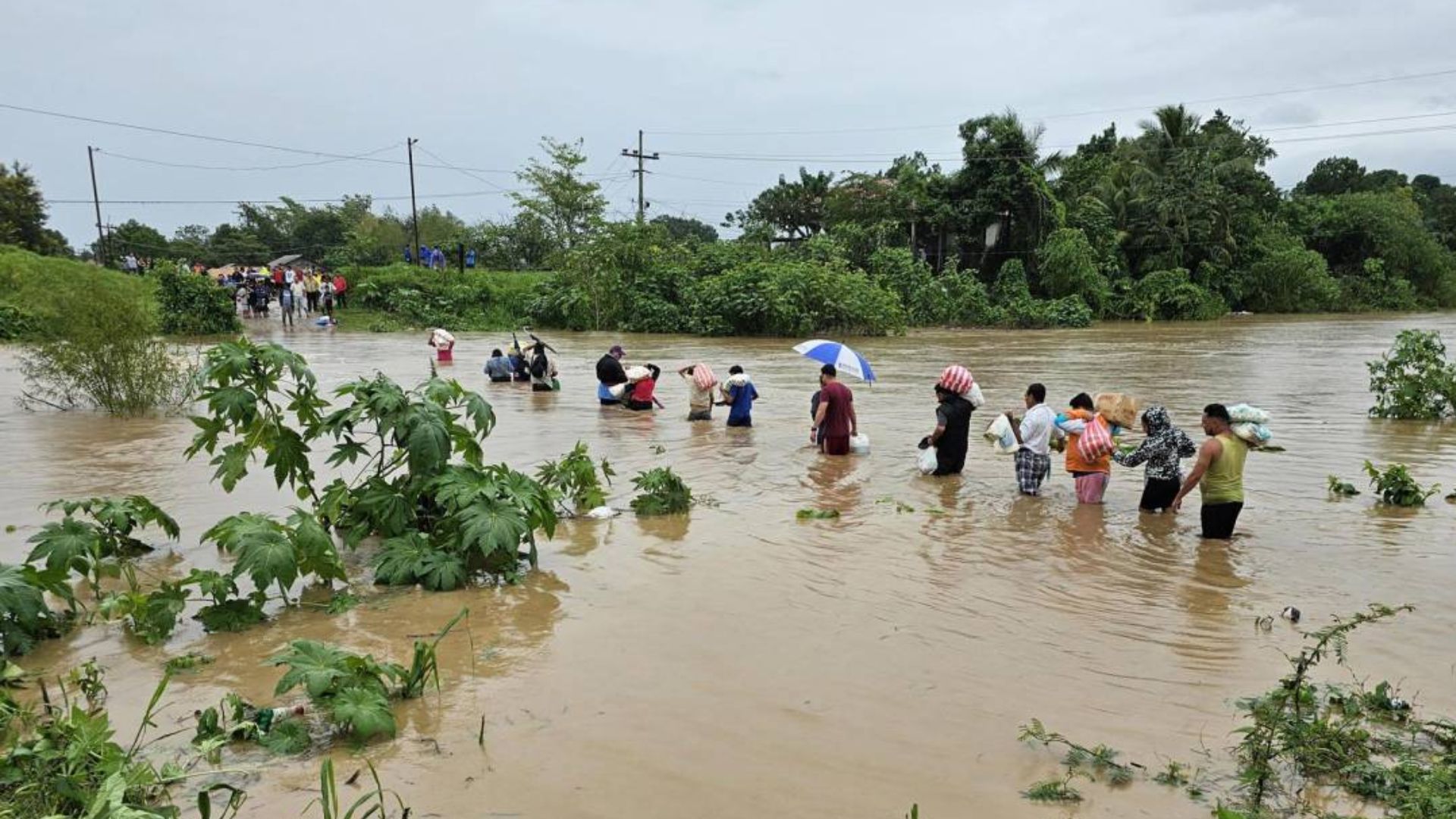 ¿Cuáles son las medidas de alivio de deuda para los productores afectados por tormenta Sara?