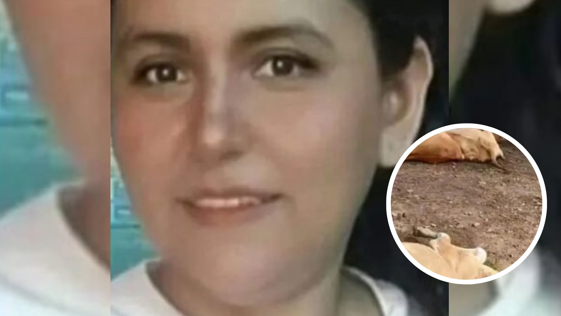 Mujer y 12 vacas mueren tras descarga eléctrica; ella cargaba el celular
