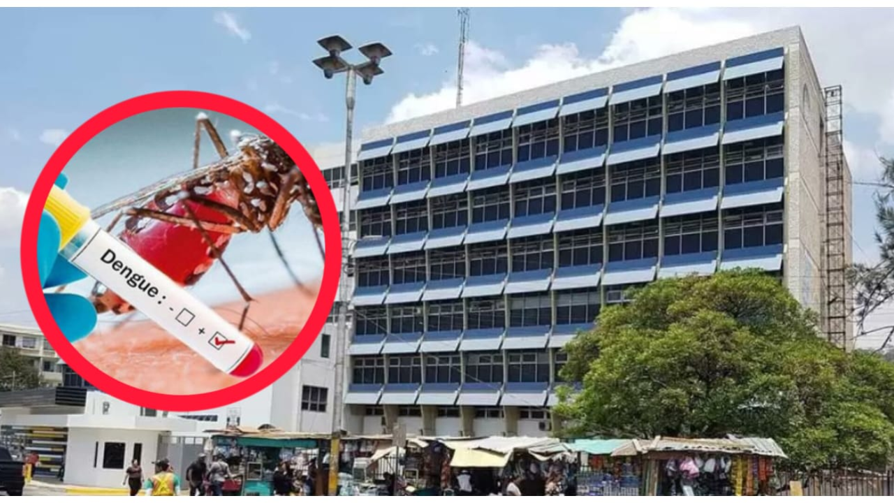 Niño de dos años y un joven mueren por sospecha de dengue en el Hospital Escuela