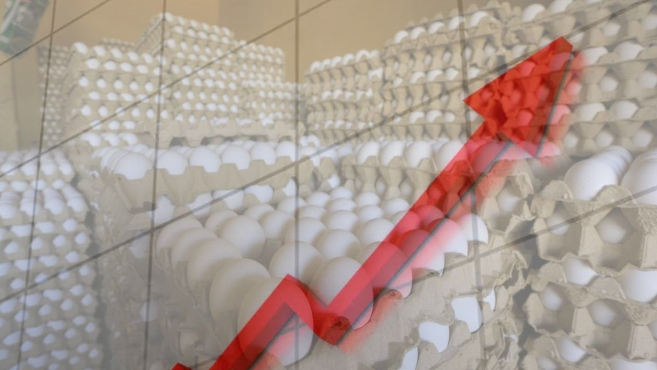 'Estamos en tendencia al alza': productor sobre precio de los huevos
