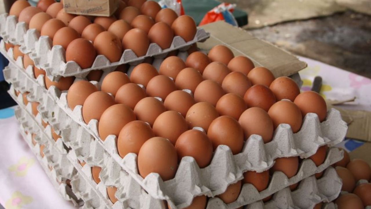 Dirección de Protección al Consumidor sanciona granjas por adulterar precio del huevo