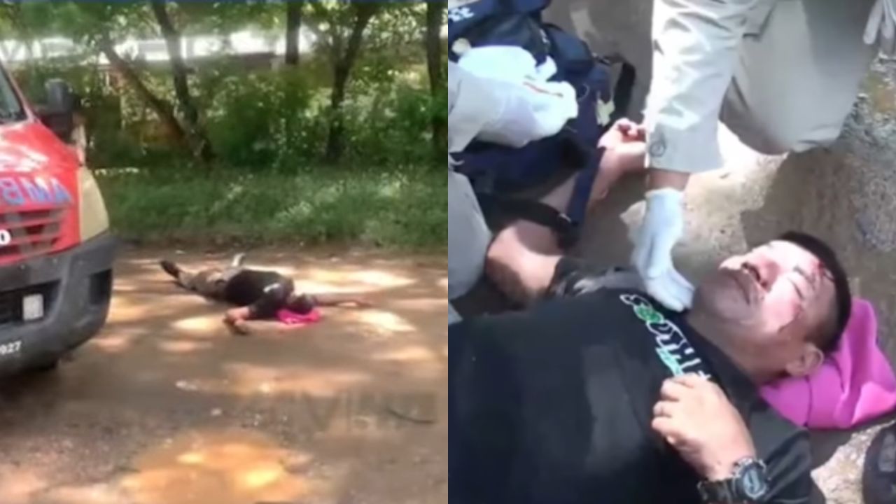 Guardia resulta herido tras ser golpeado por una vaca en Choluteca