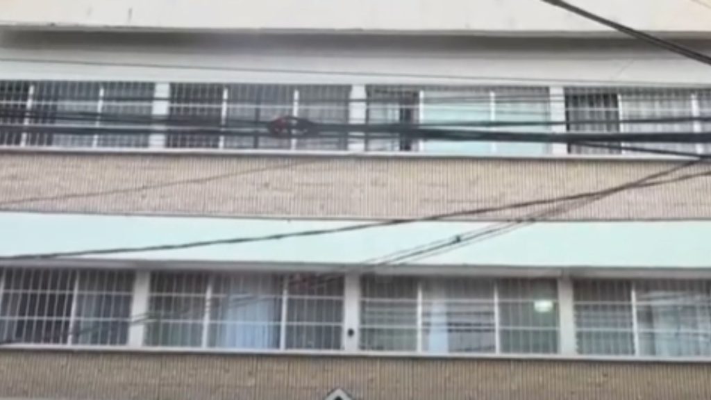 Imagen de cuerpo de nota