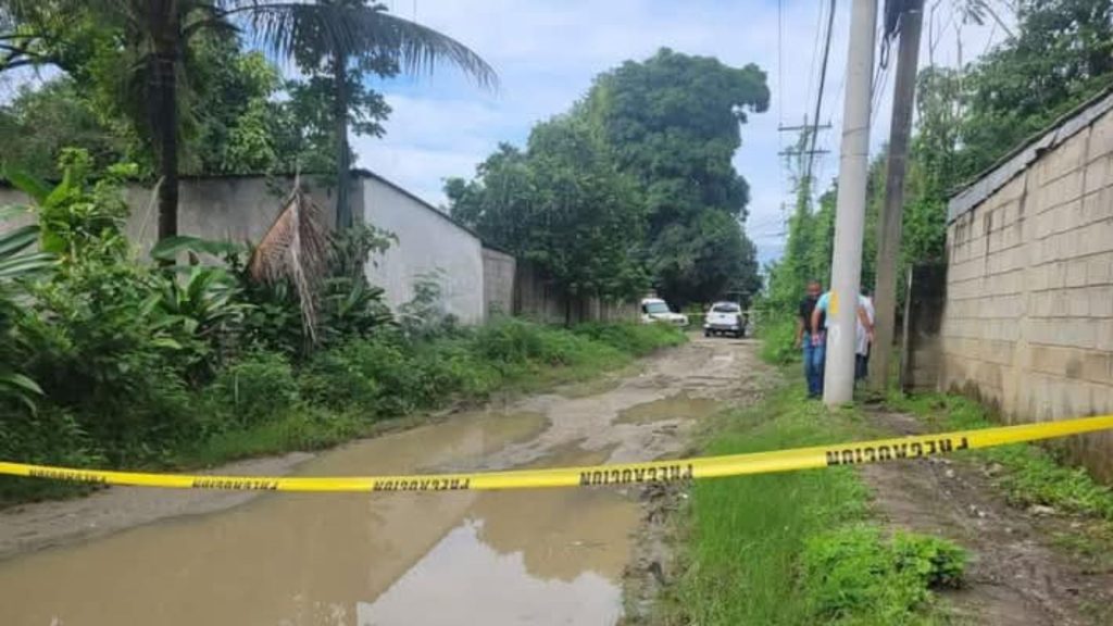 Imagen de cuerpo de nota