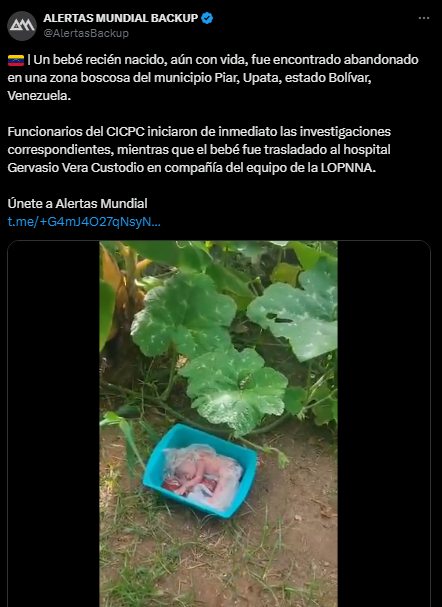 Imagen de cuerpo de nota