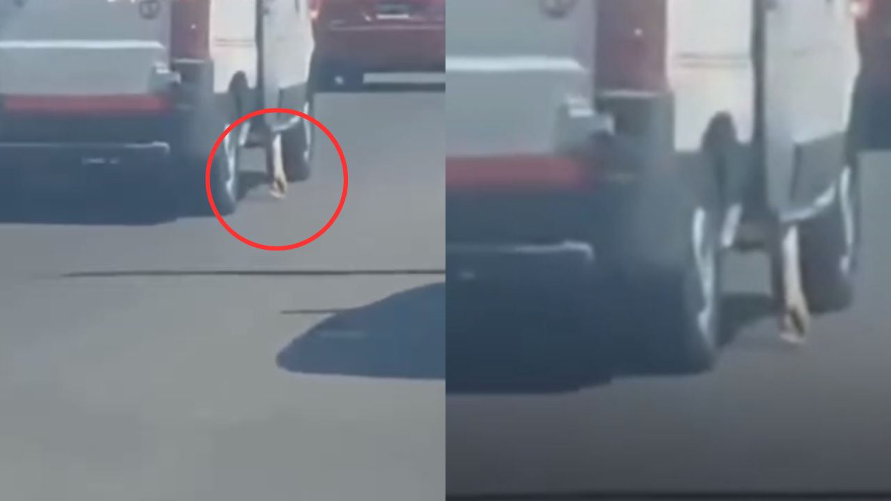 Vídeo: Ambulancia juega pesada 'broma' en el Día de los Inocentes en plena calle