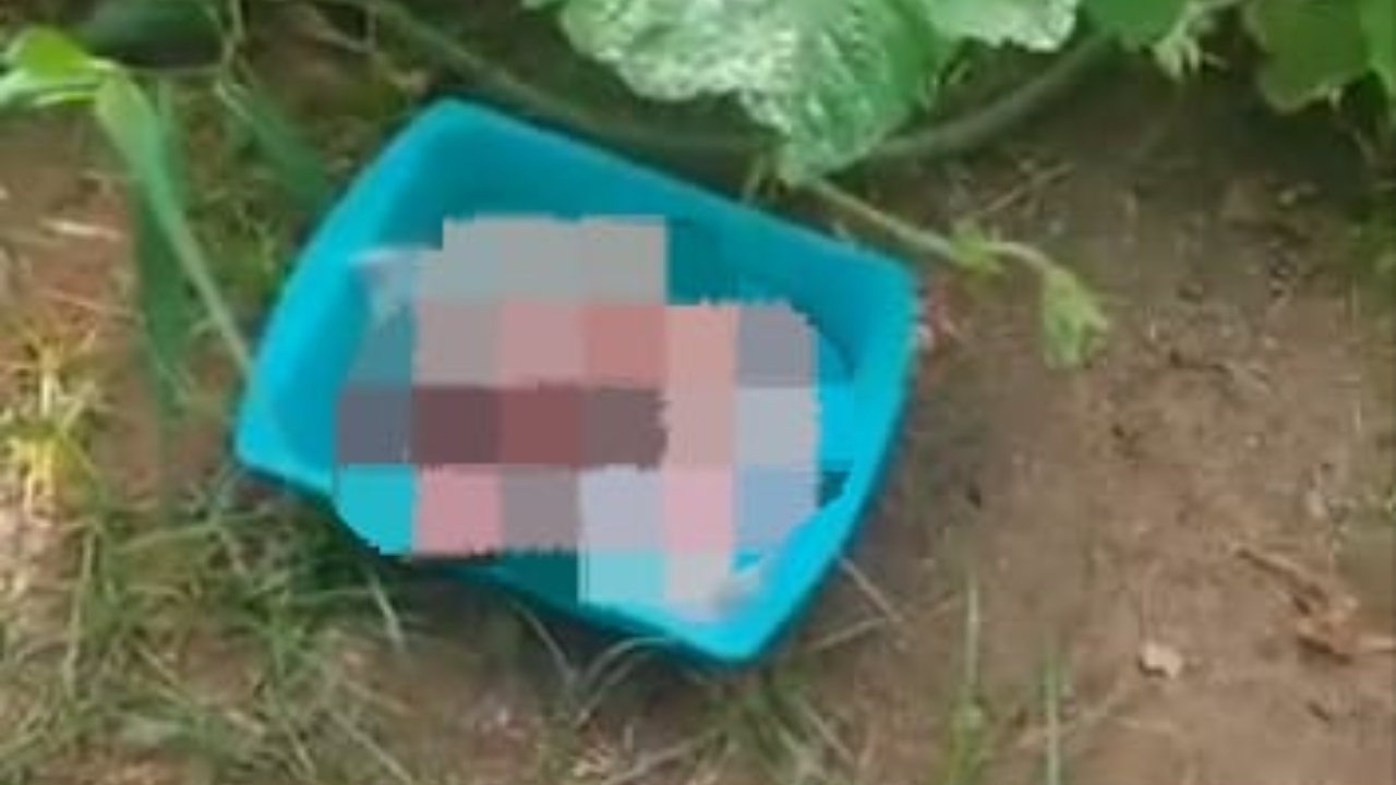 Recién nacido es abandonado dentro de una paila ¿Sobrevivió?