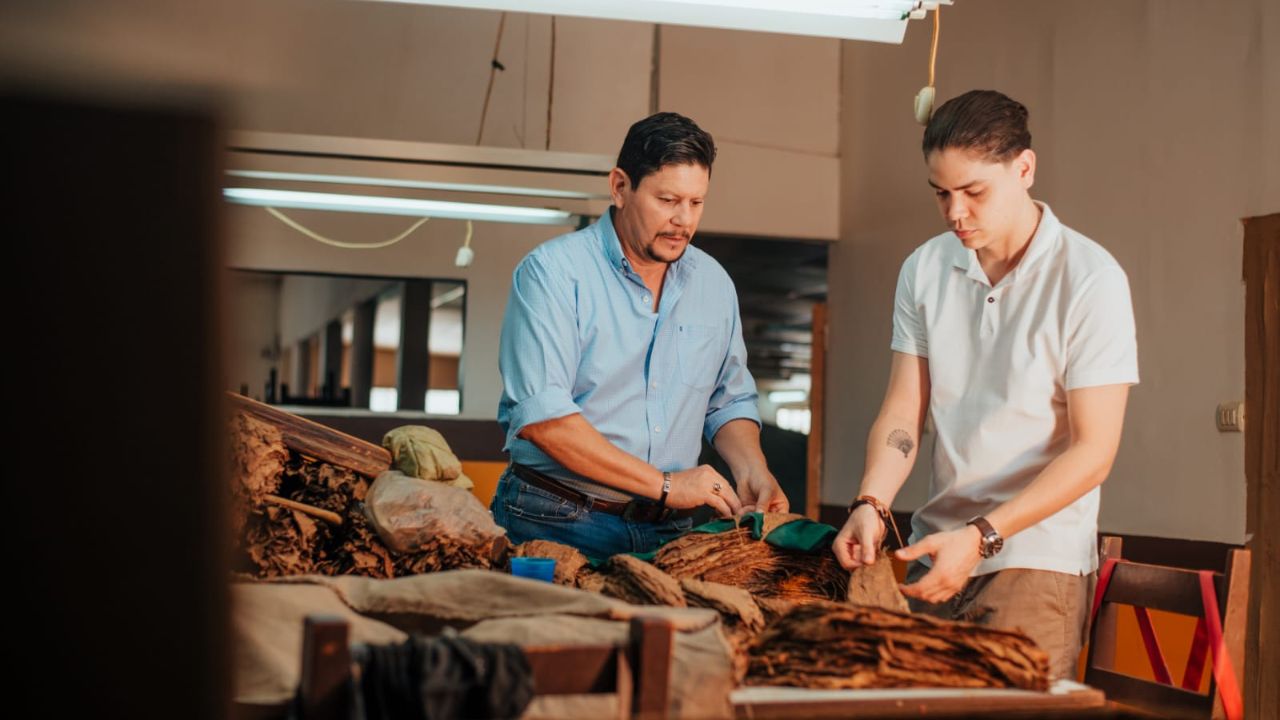 Este es el valor que dejaría en divisas exportación de tabaco de El Paraíso
