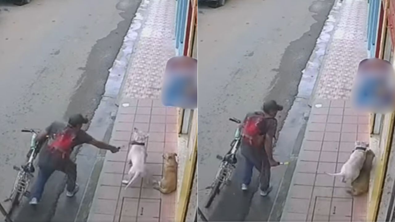 VIDEO: hombre ataca con arma blanca a perro en una calle en Danlí