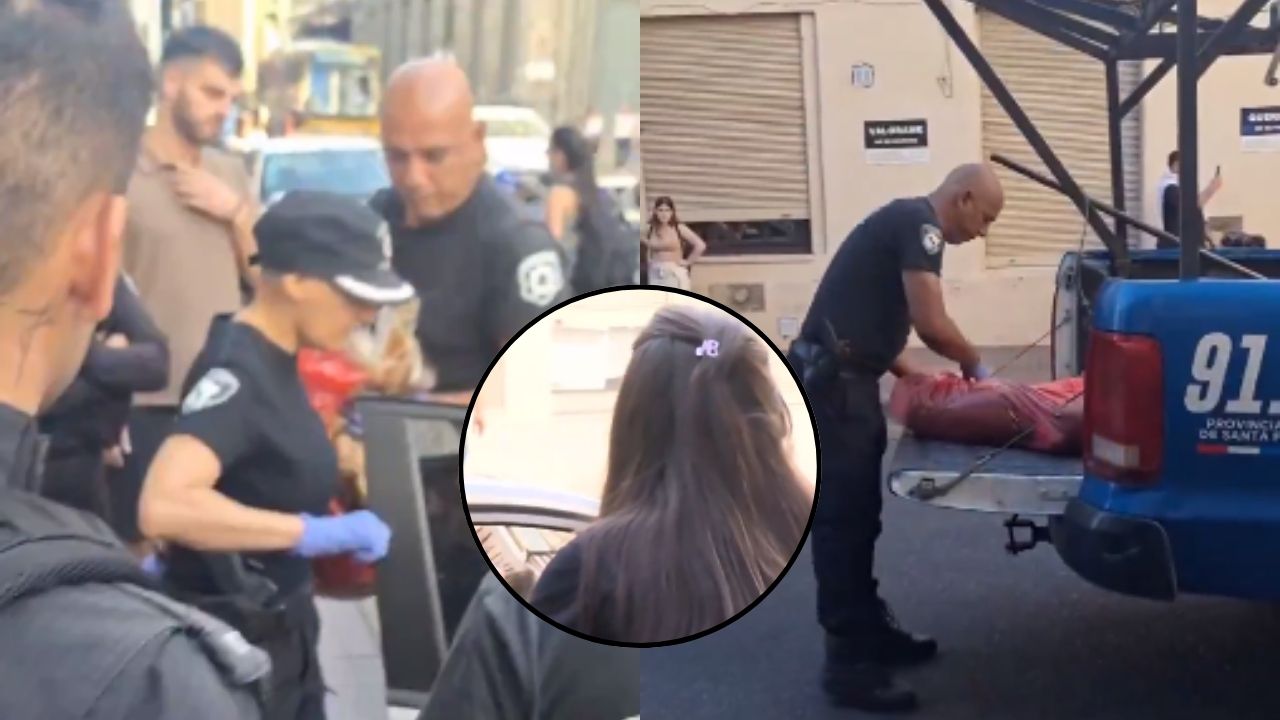 Mujer 'olvida' a su perro en su carro, ¿sobrevivió o murió la mascota?