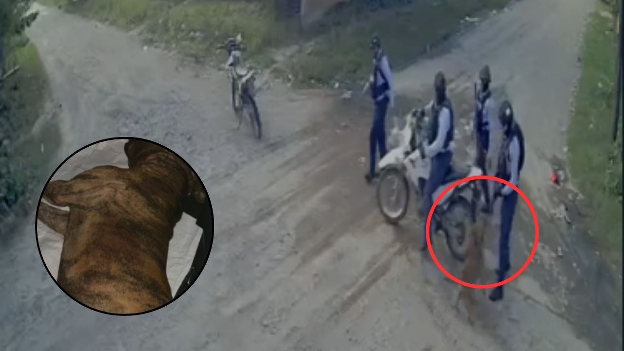 Graban a policía disparándole a un perro tras riña con pobladores