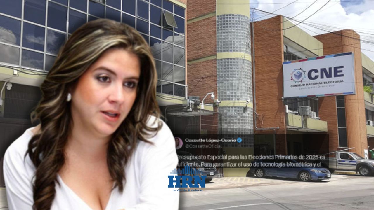 Presupuesto para elecciones 'es insuficiente': Cossette López; anuncia que esto propondrá
