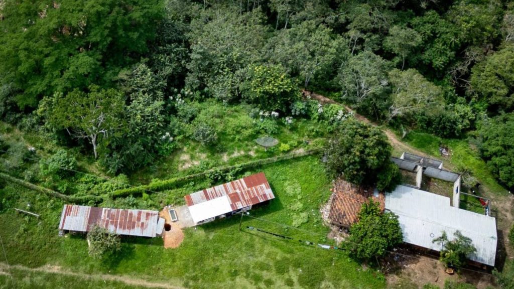 Imagen de cuerpo de nota