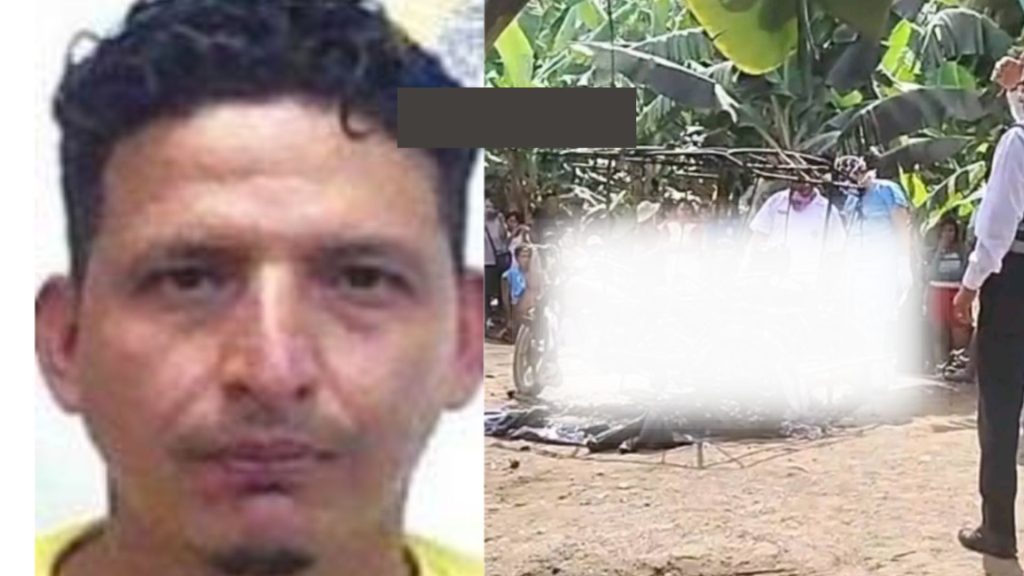 Imagen de cuerpo de nota