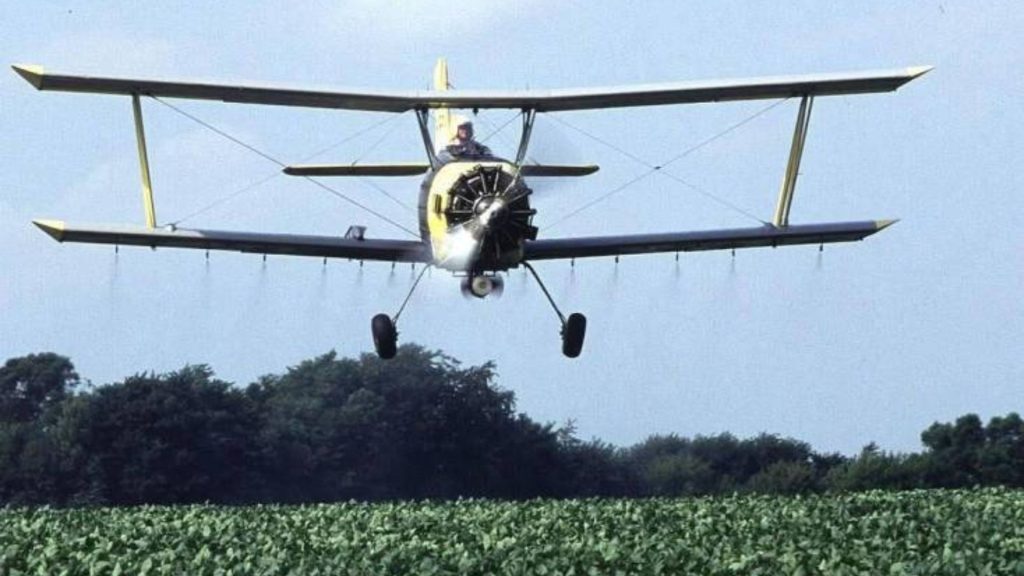 Imagen de cuerpo de nota