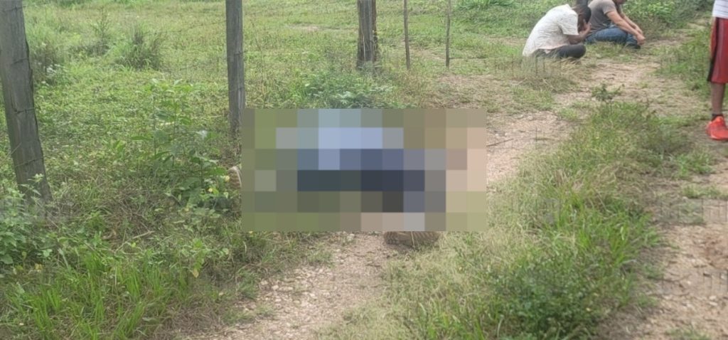 Imagen de cuerpo de nota