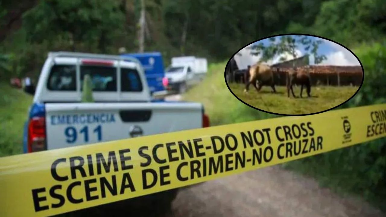 Asesinan a mujer mientras se cepillaba los dientes en su casa en Olancho