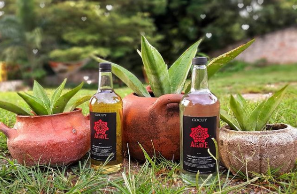 Venezuela busca posicionar el licor de cocuy en el mercado internacional