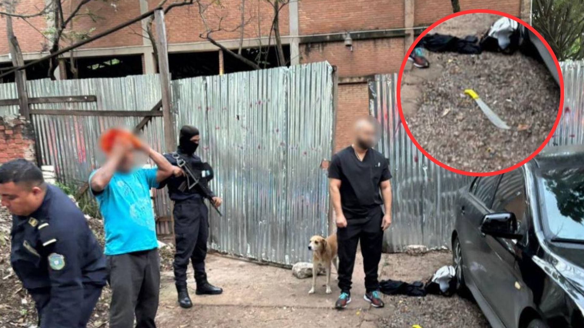 Revelan estado de salud de cuidador de carros atacado a machetazos por estudiante de medicina