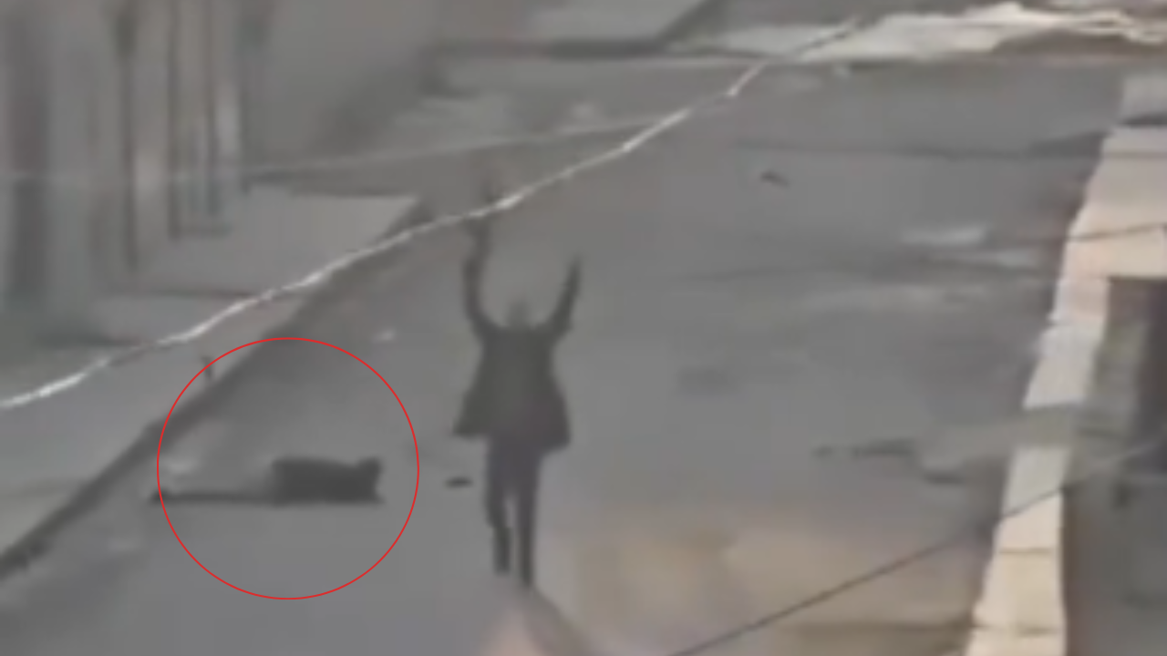 Video: Hijo mata a su madre tras descubrir que era novia de uno de sus amigos